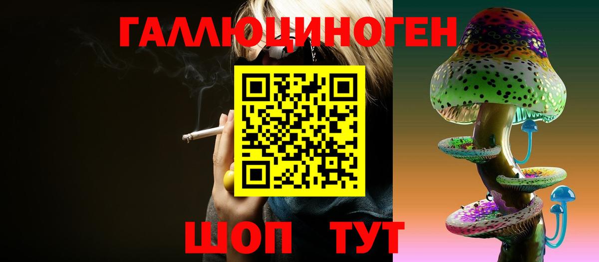 Псилоцибиновые грибы Psilocybe Лабытнанги